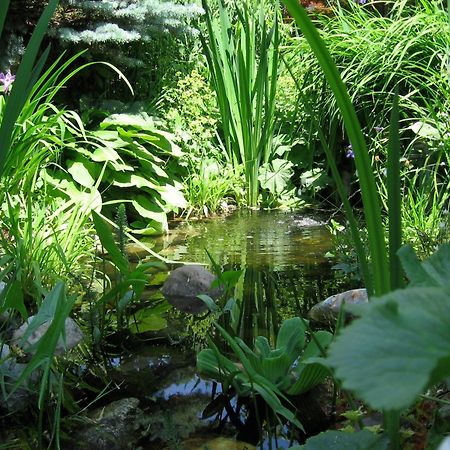 Naturkraeuterhaus Eder Iselsberg Eksteriør bilde